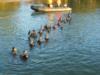 bay swim on the coldest day on record in Panama City. it was 17degrees...