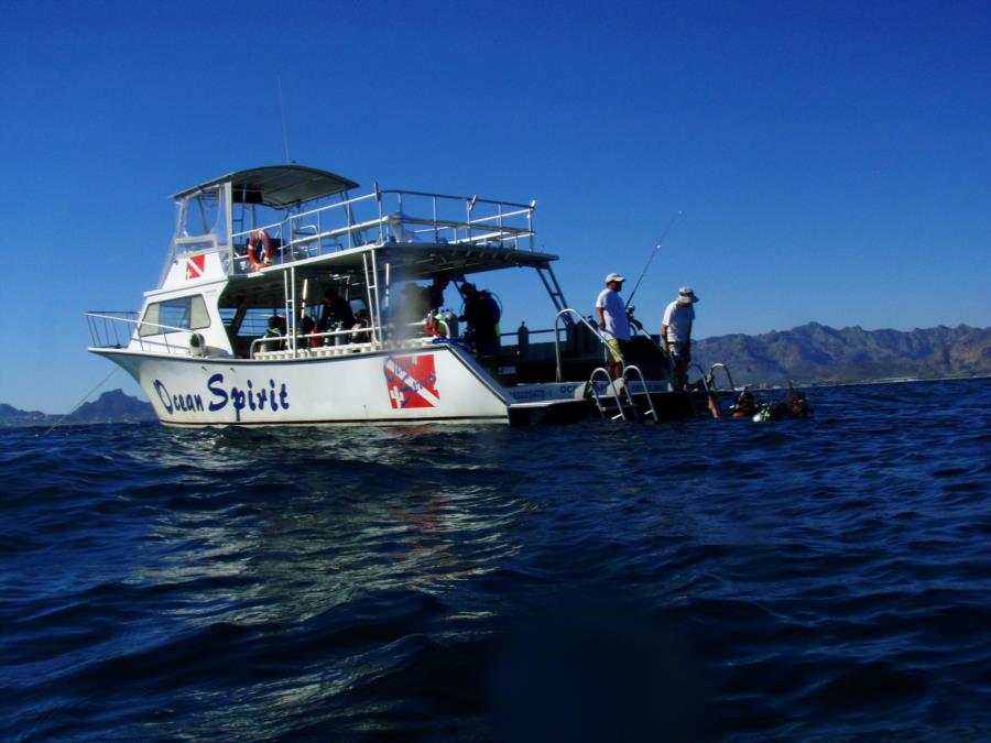Diving the Sea of Cortez