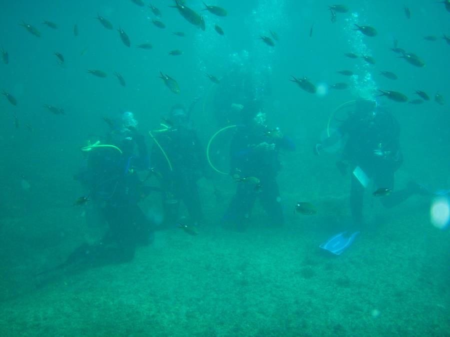 O/W certification dive in Sea of Cortez