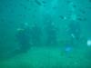 O/W certification dive in Sea of Cortez