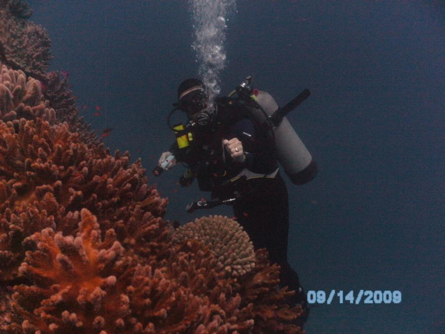 Me hanging out on a bommie in Fiji