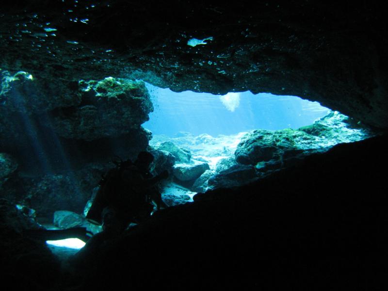 Looking out of the cavern Ginnie Springs