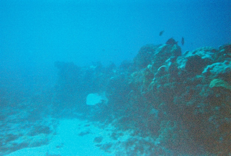 Punta Negro, Cancun