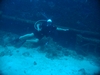 wreck dive