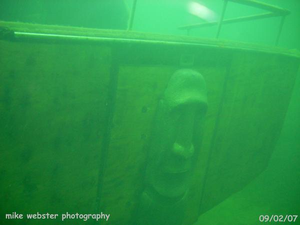 Stern of Red Rose.