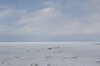 Ice diving site In front of Dolphin Hotel in Utoro, Hokkaido, Japan