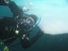 Arctic diving-2
