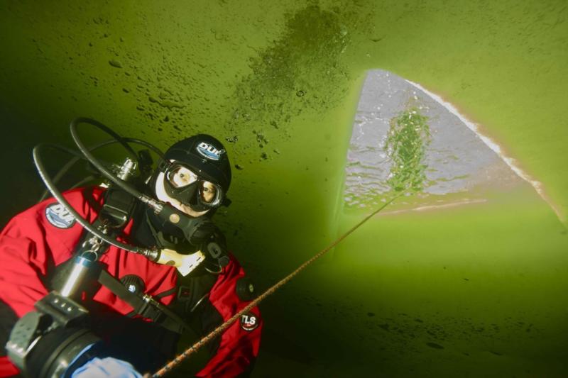 Under the ice in White Sea