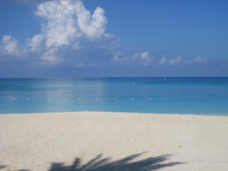 Westin  Beach (Excellent) - SMB - Grand Cayman Sep 08