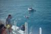 M/V Turks & Caicos Explorer II Oct 08