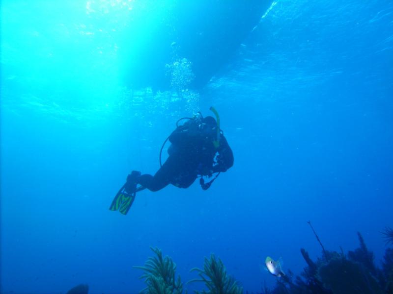 Nesher - Little Cayman - Jan 09