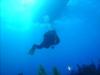 Nesher - Little Cayman - Jan 09