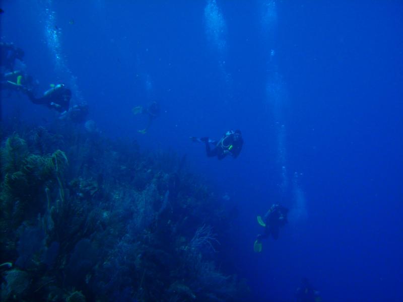 Goiing Over Bloody Bay Wall - Little Cayman - Jan 09