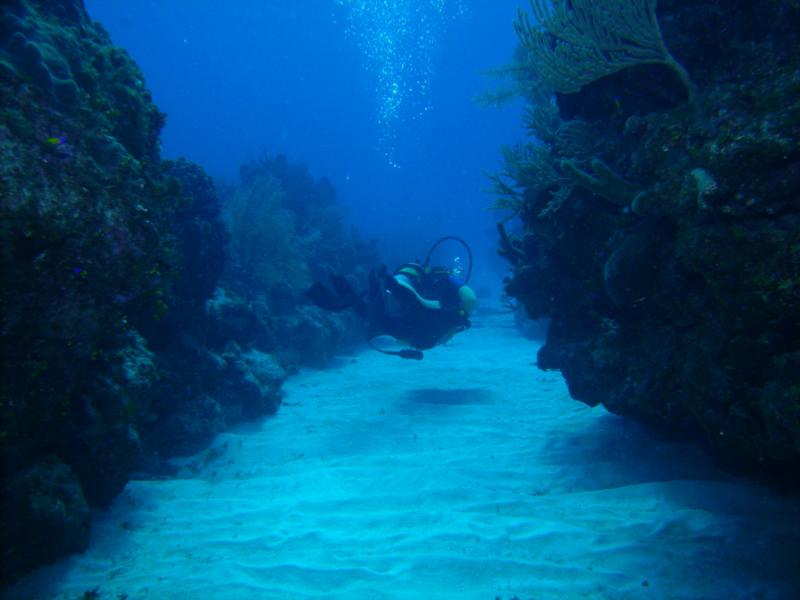 Deb Passing Through - Little Cayman - Jan 09