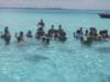 Stingray City - Grand Cayman - Sep 08