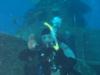 Nesher Diving Cayman Brac - Jan 09