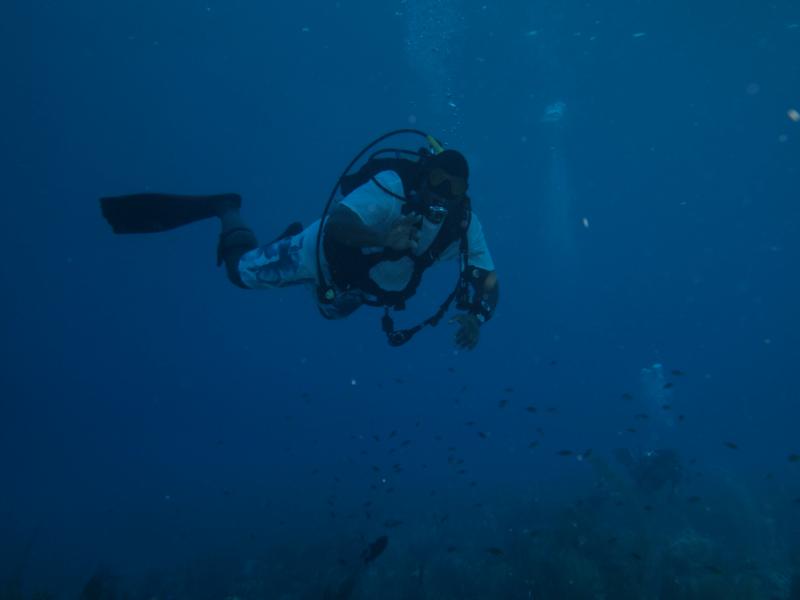 Nesher - Little Cayman - Sep/Oct 2011