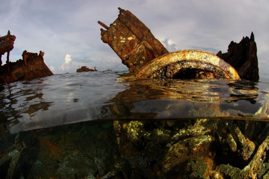 Tubbataha Reef - Sula Sea - May 2012