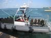 In-Depth Watersports - Grand Cayman 25 - 30 May 2013