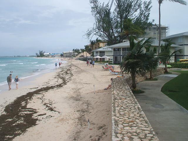 Beach picked up a little extra sand. Thanks Hurricane Palomo