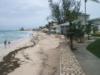 Beach picked up a little extra sand. Thanks Hurricane Palomo