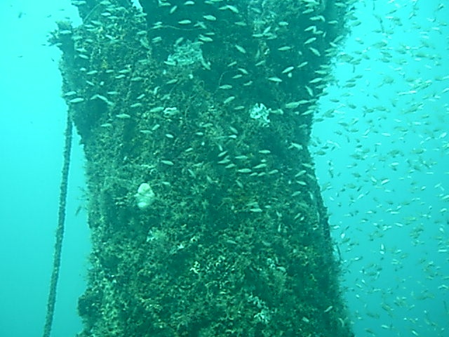 panama city, fl.