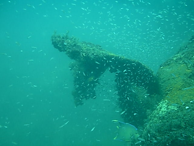 panama city, fl.
