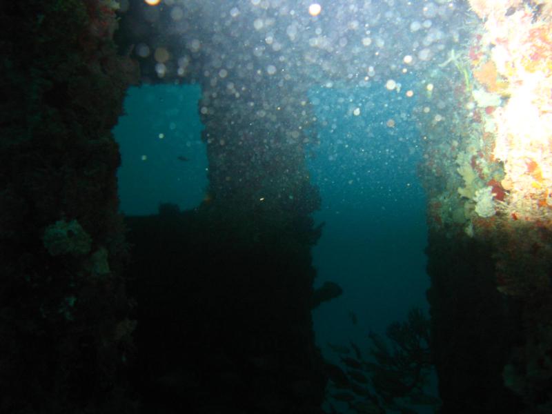 McAllister wheel house 6/69