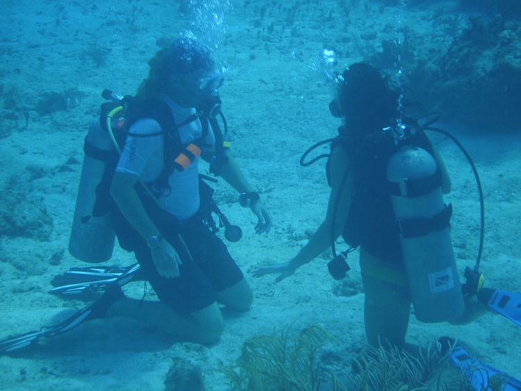 Teaching a friend how to dive..