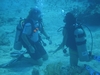 Teaching a friend how to dive..