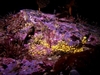See all the pretty colors