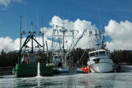 Unloading the Herring