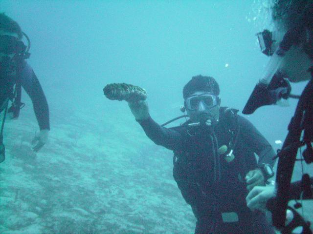 "Okay, Just to remind the group, Don’t touch the wildlife"