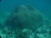 Diving the Key Largo Dry Rocks