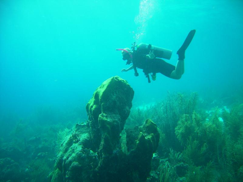 Deb ( Countess4sight ), Bonaire 2008