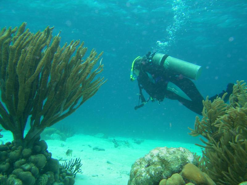 Sandy ( Jupitermermaid ), Bonaire 2008