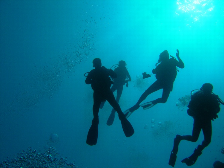 West Caicos Divers Apr 07