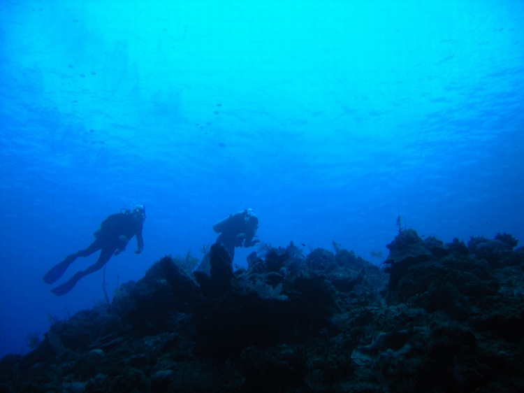 Divers on Reef West Caicos 07