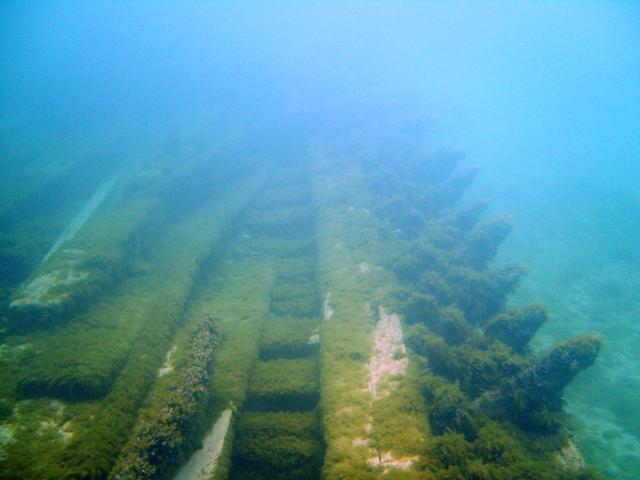 Ribs of th Juno...(1)
