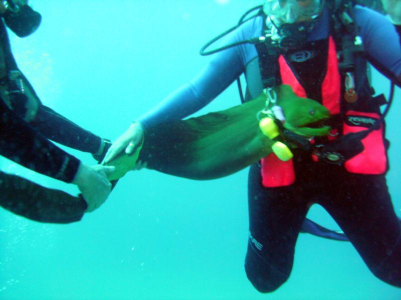 Cathy upclose and personnel with an Eel..LOL