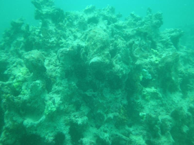 Tug Boat wreck in Persian Gulf