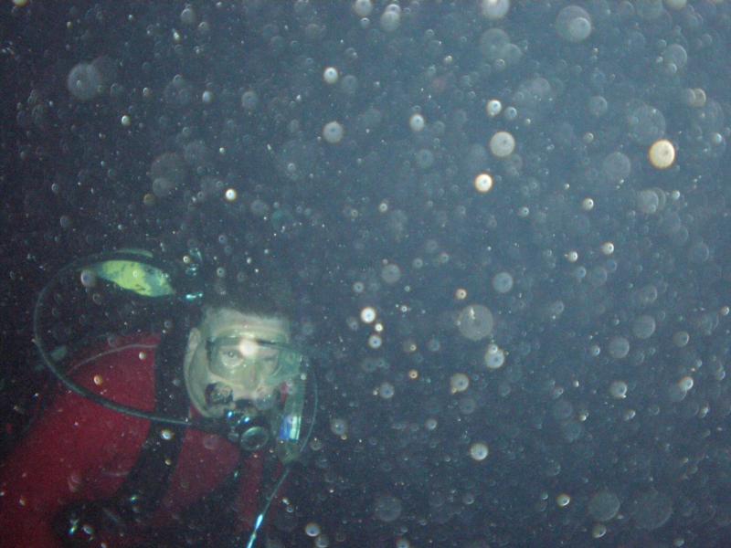 Night Dive Red Sea