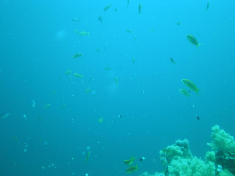 View up from 105 Al-Bilad Beach Red Sea