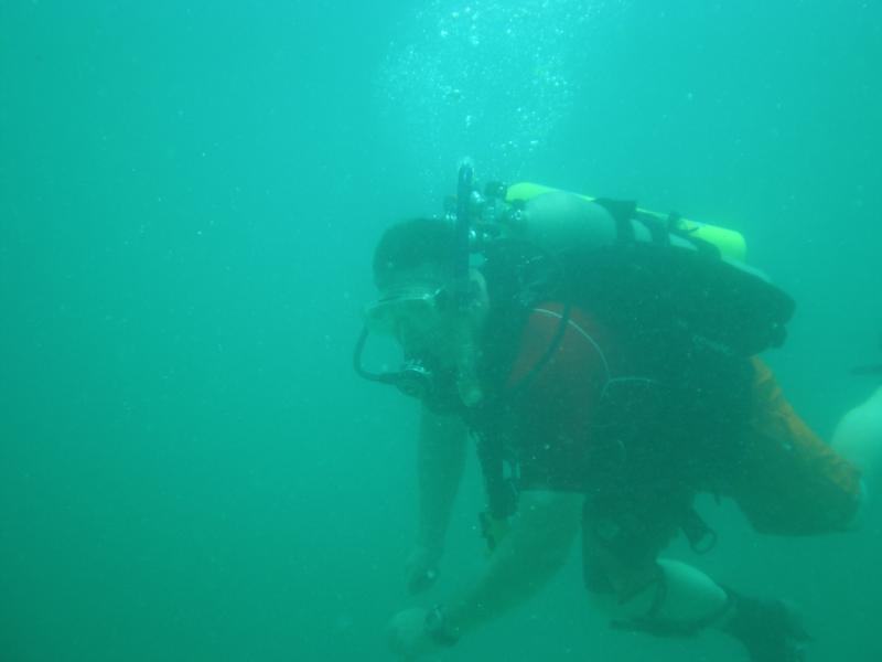 Boat dive Persian Gulf