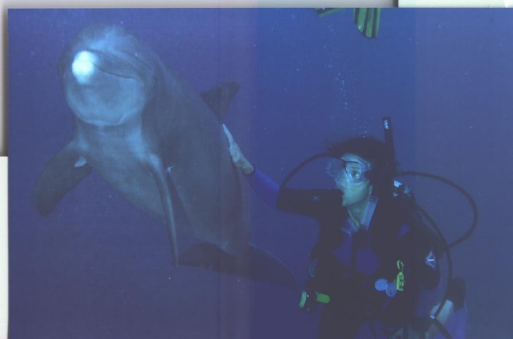 With Dolphins in Grand Bahama 11/07