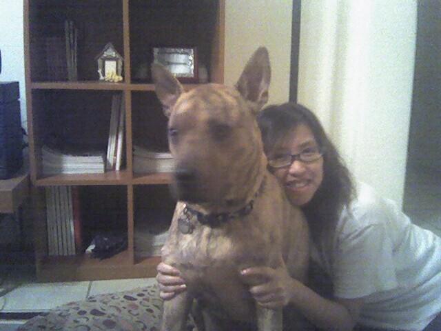 Tiger & I