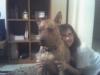 Tiger & I