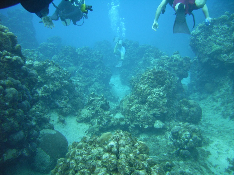 grand cayman