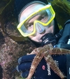 Examining the locomotion of a Sea Star. Catalina 2006