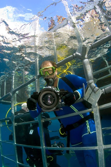 White Shark dive off Guadalupe Island, Mexico. 2005